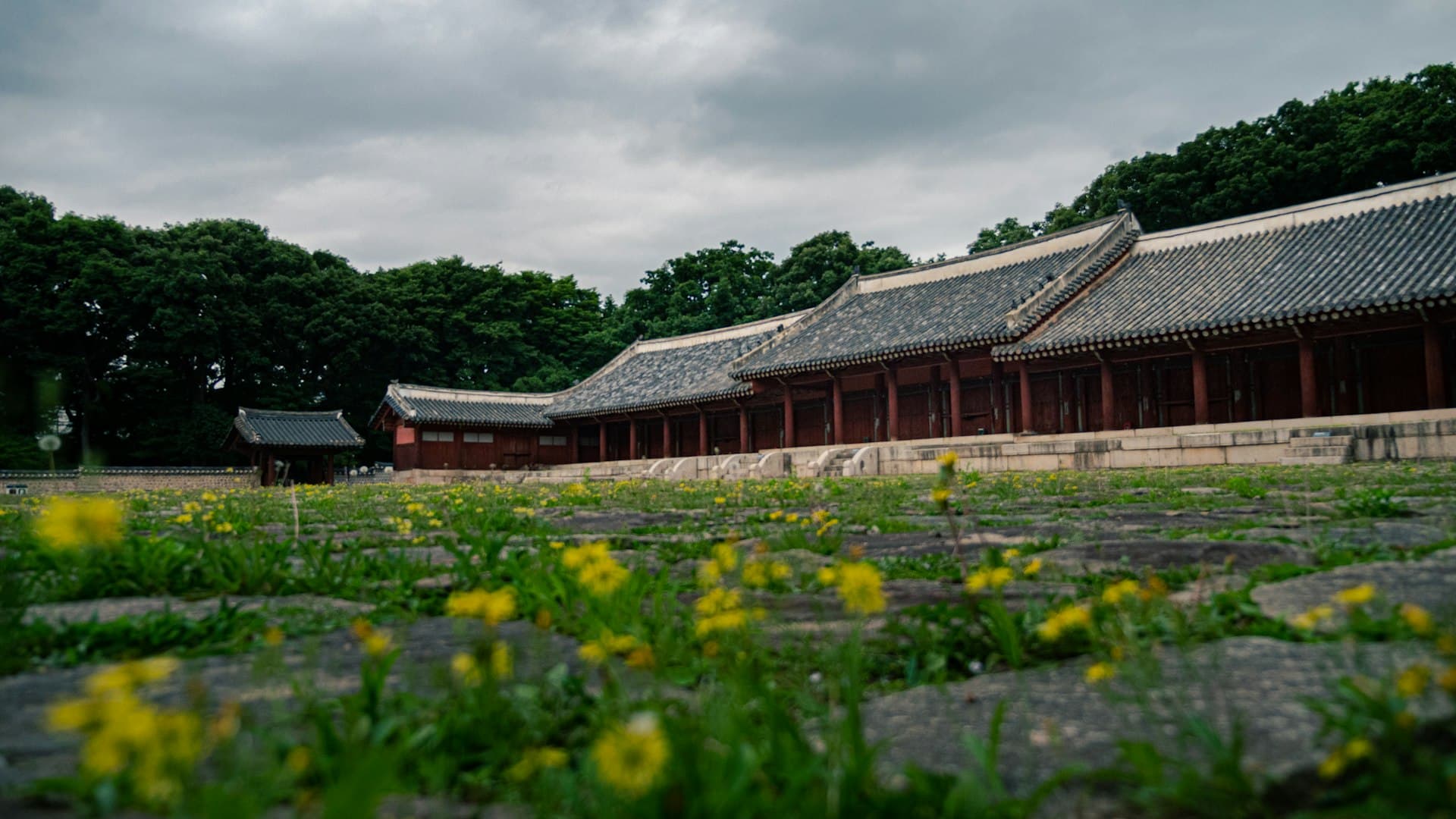 宗廟完全ガイド2025：600年続く王室祭礼とユネスコ三重文化遺産