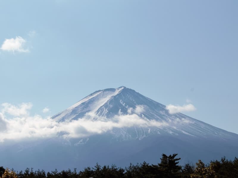 韩国传统马车与轿子：在首尔体验朝鲜的移动文化遗产