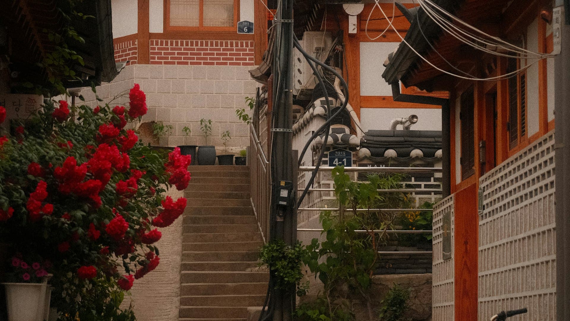 한국 예절 가이드: 서울 여행자를 위한 문화, 매너, 하지 말아야 할 것들 2025