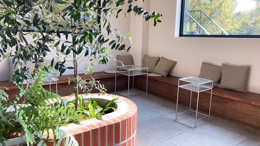 Cafe Sanare (카페 산아래) 5