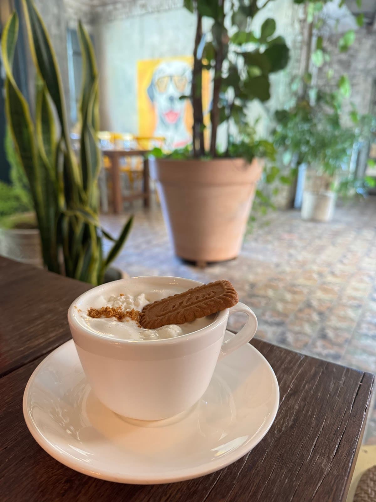 달마시안 압구정 4