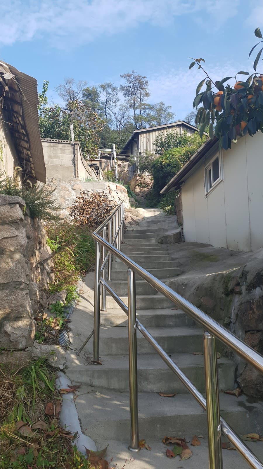 개미마을 (홍제동) 3