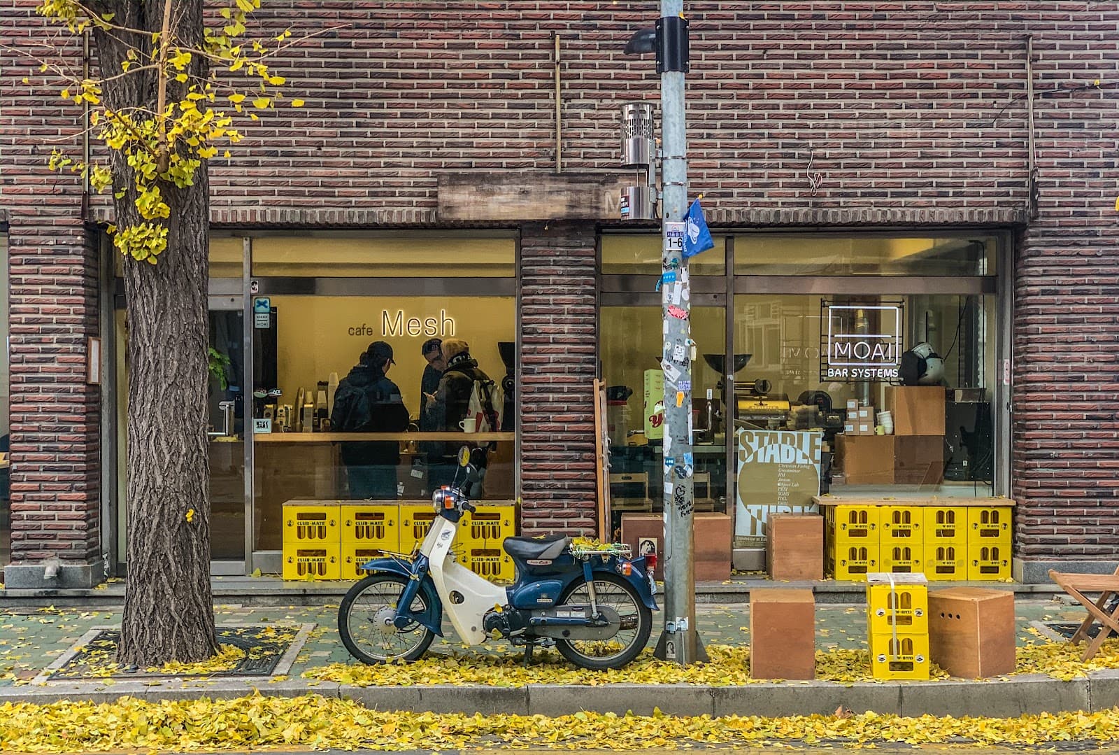 メッシュコーヒー (Mesh Coffee)