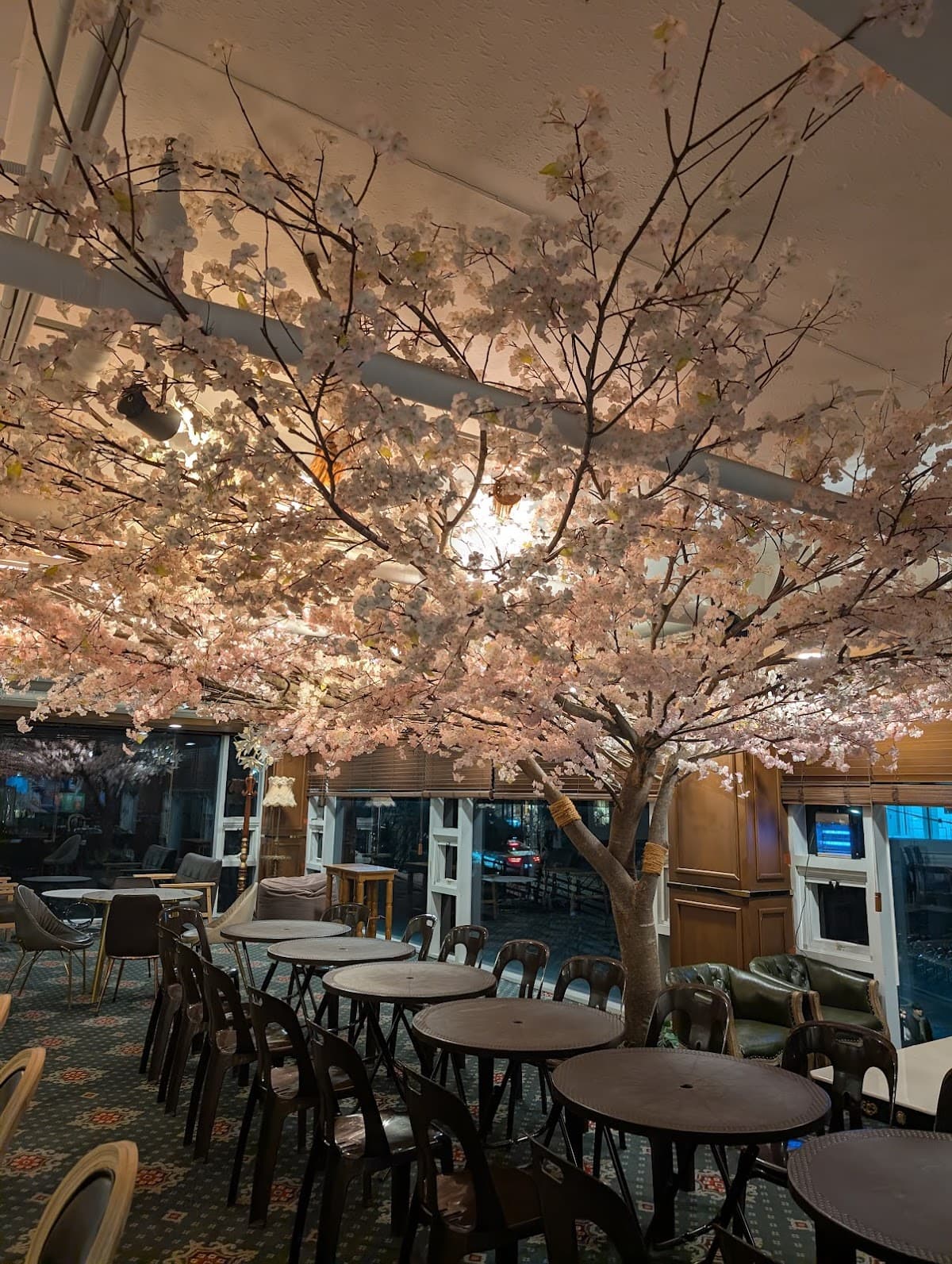 NOOP Cafe & Pizza Pub 2