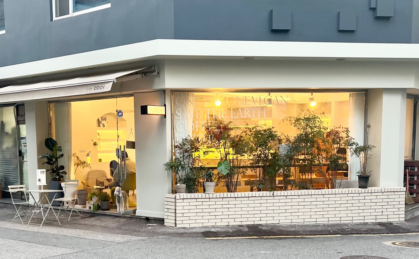 ODOV 纯素烘焙店 3