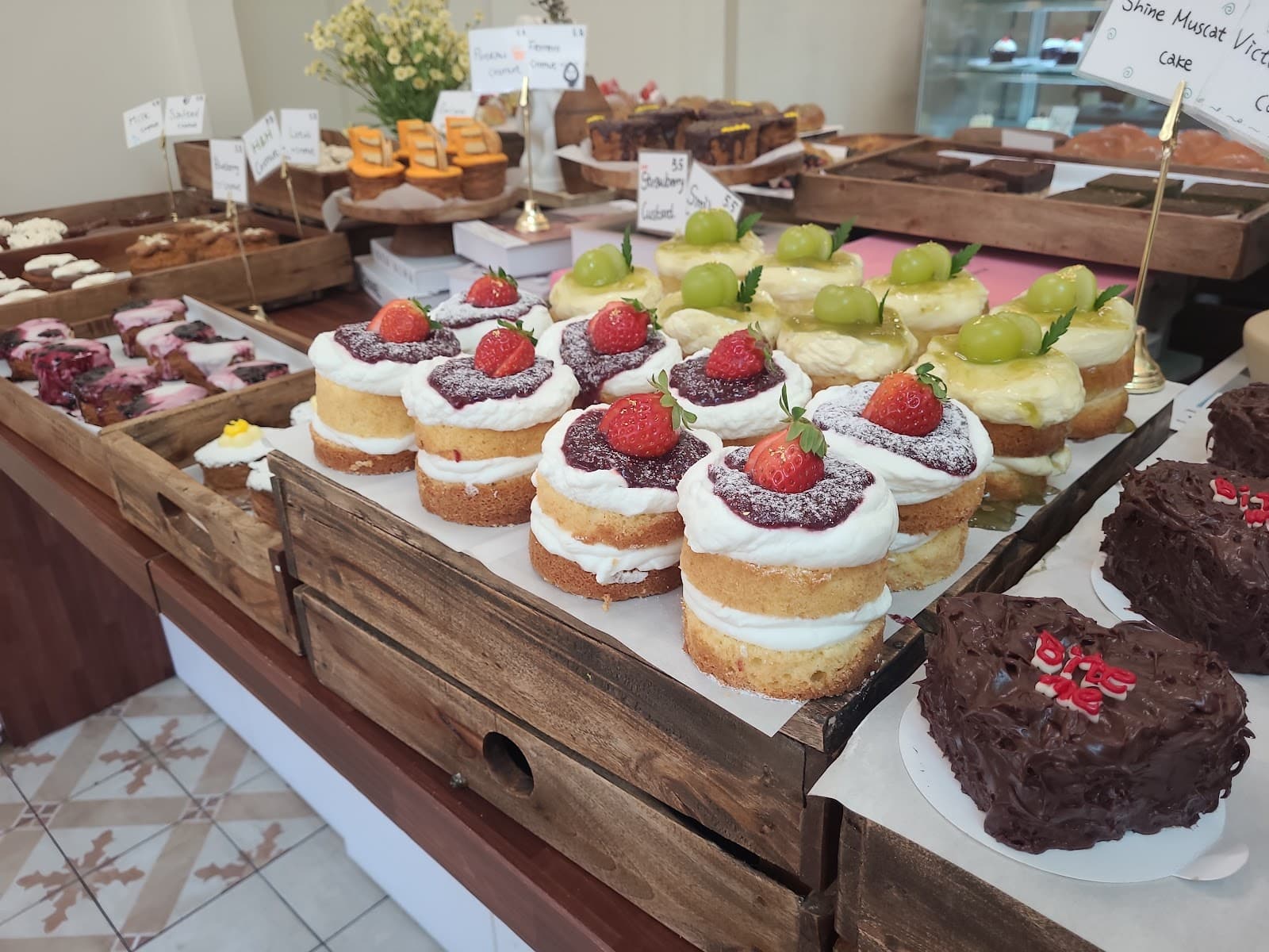 パニド エム ムーニー 3