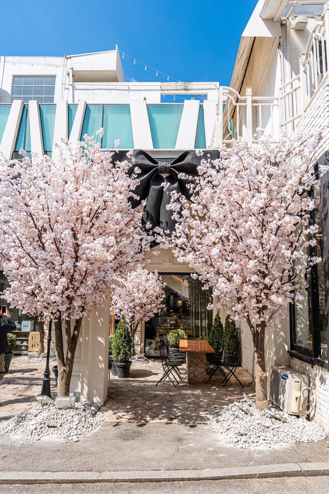 Panier de M. Mooni 3