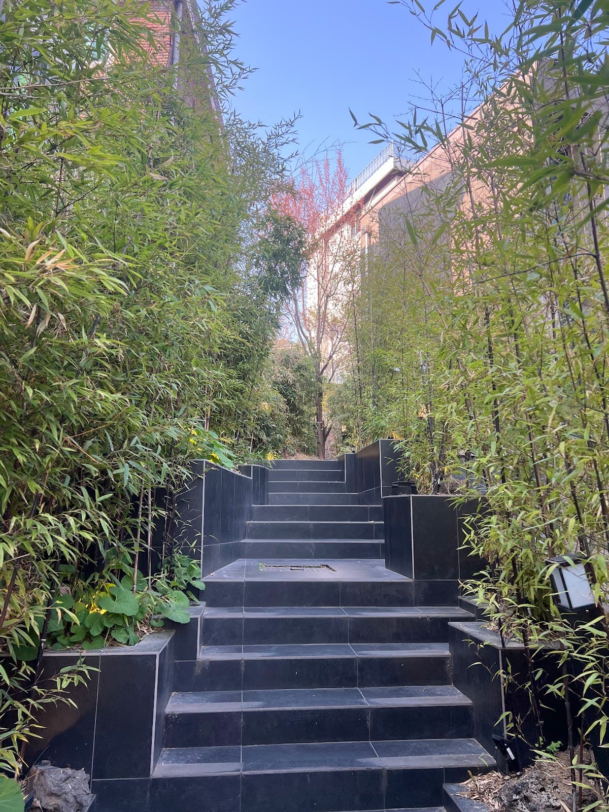 レインリポート 3