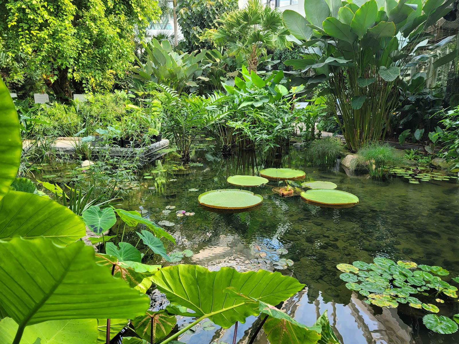 ソウル植物園 4