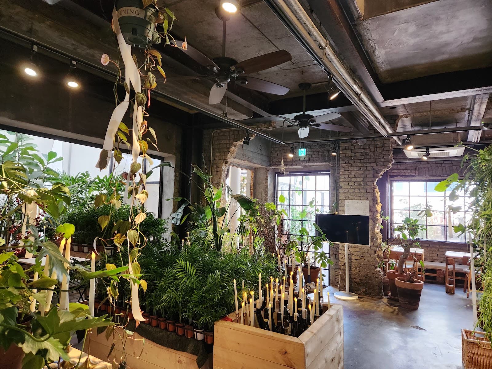 都市植物咖啡馆 (Urban Plant) 3